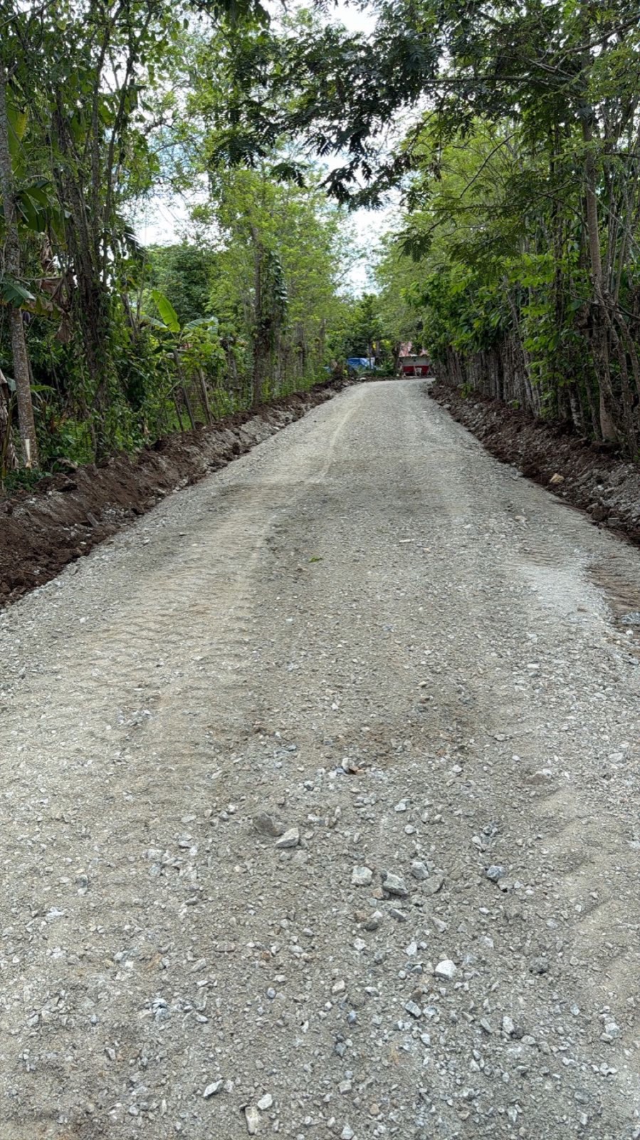 Mejoramiento de caminos